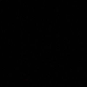 Meet your Posher, Ann